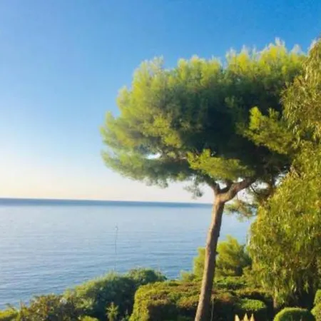 Directly On The Sea * Cannes